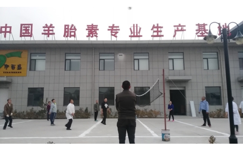 排球傳溫情，員工齊聚心